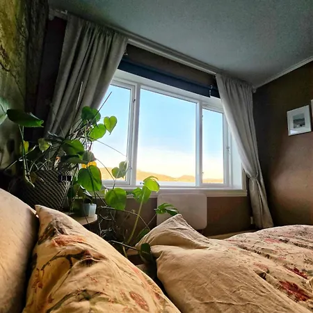 Cozy House In Historical Area * ベルゲン