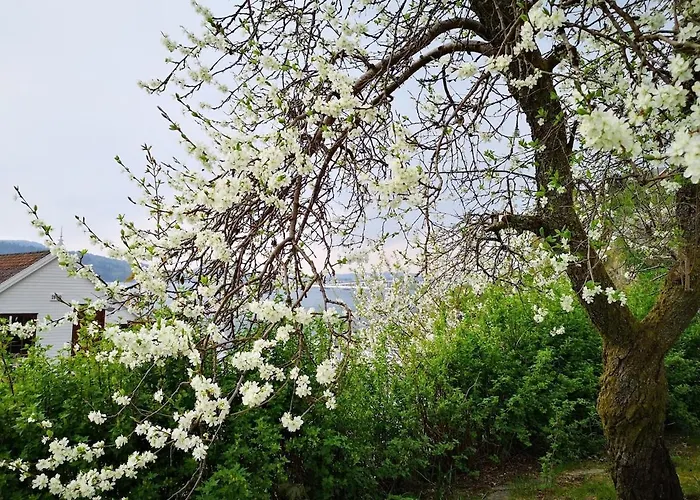 Cozy House In Historical Area Tatil Evi