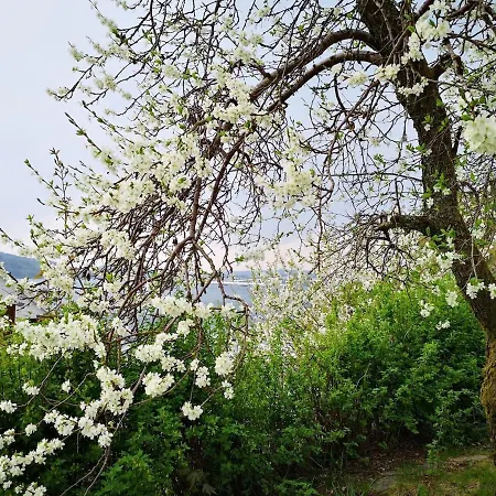Cozy House In Historical Area Vakantiehuis