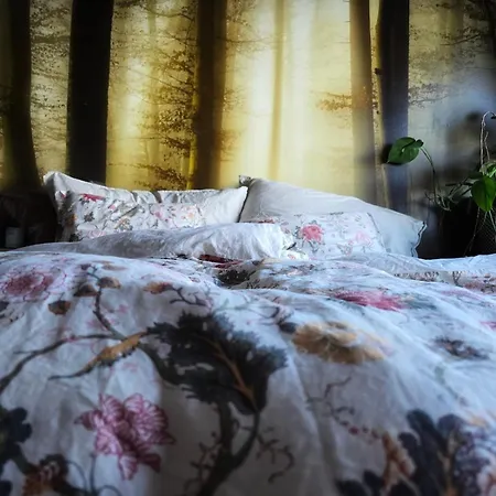 Cozy House In Historical Area *