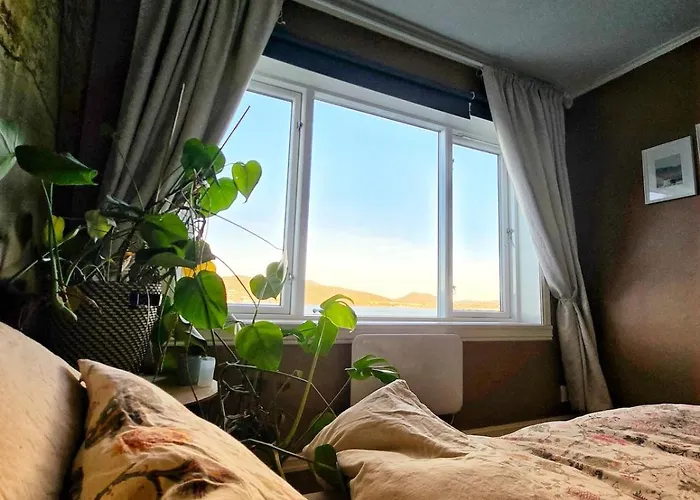 Cozy House In Historical Area * Bergen